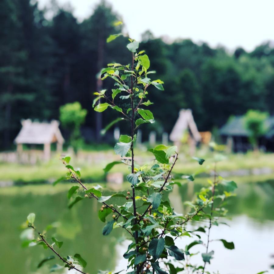 Gostynna Sadyba Kit Bayun Teterivka Exterior foto